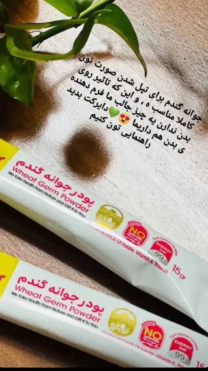 جوانه گندم